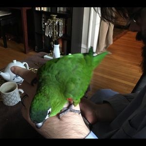 Meet your Posher, Andrea